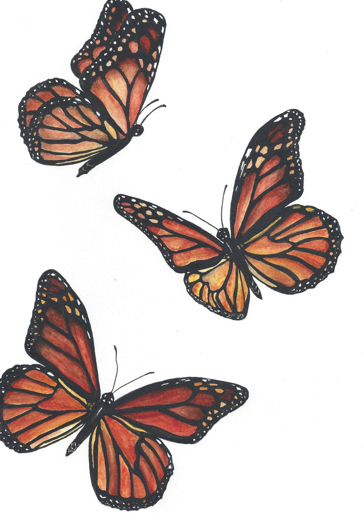 Folk Butterfly Art Print — mirdinara